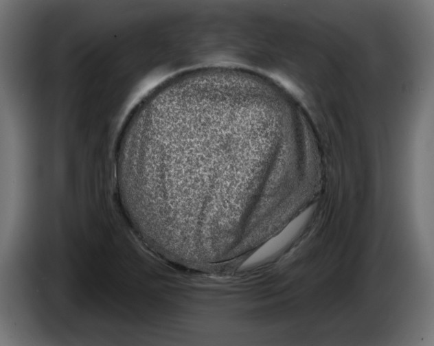 X0000083571271200703021737