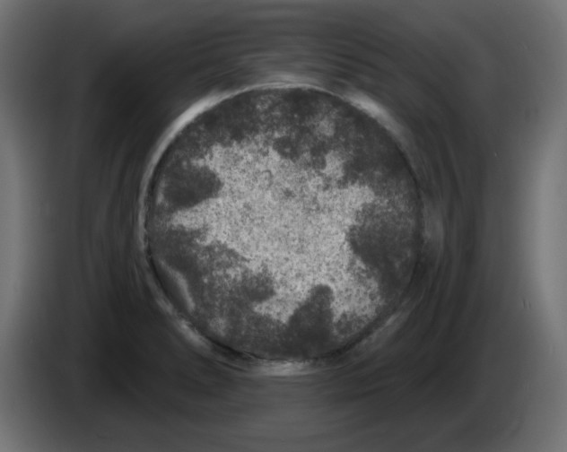 X0000083571278200703021737