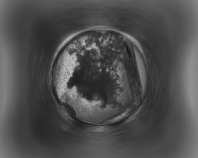 X0000083571279200703021737