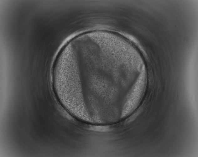 X0000083571280200703021737