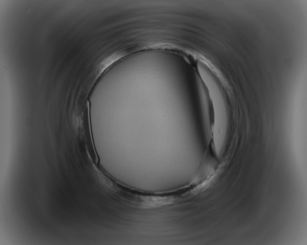 X0000083571281200703021737