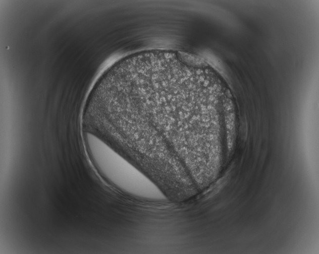 X0000083571283200703021737