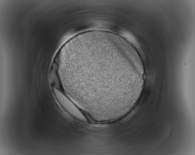 X0000083571284200703021737