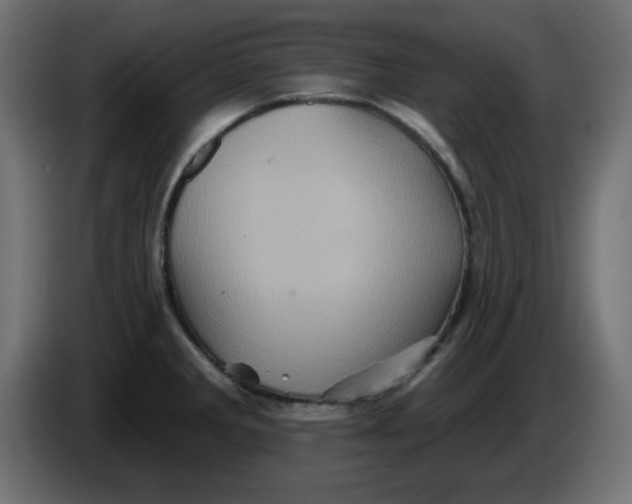X0000083571285200703021737