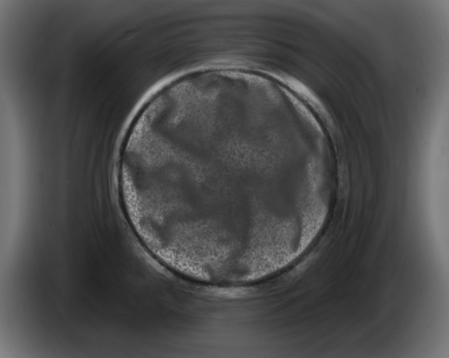 X0000083571288200703021737