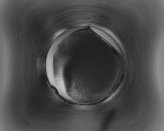 X0000083571289200703021737