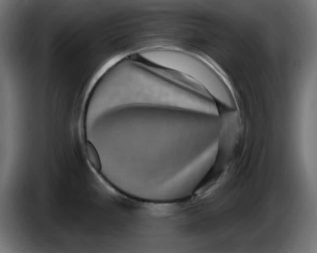 X0000083571293200703021736