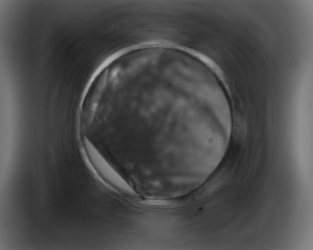 X0000083571295200703021736