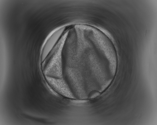 X0000083571296200703021736