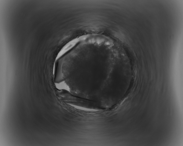 X0000083571297200703021736