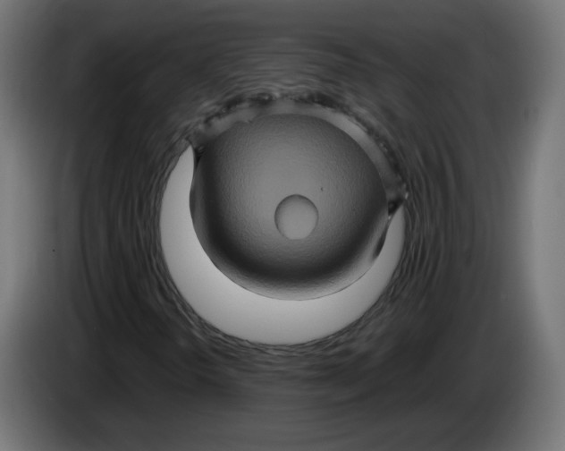 X0000083571298200703021736