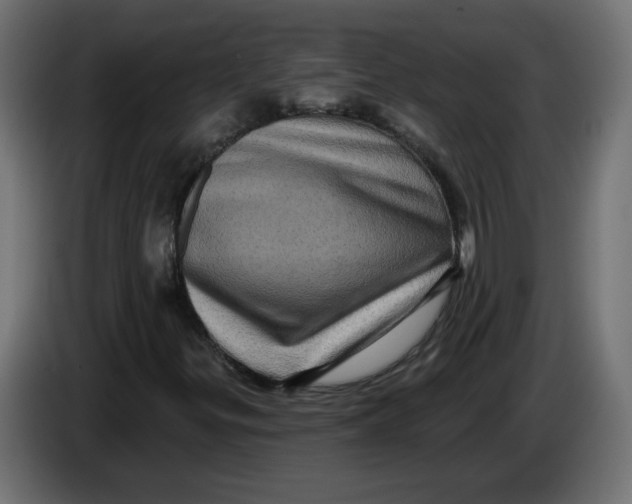 X0000083571299200703021736