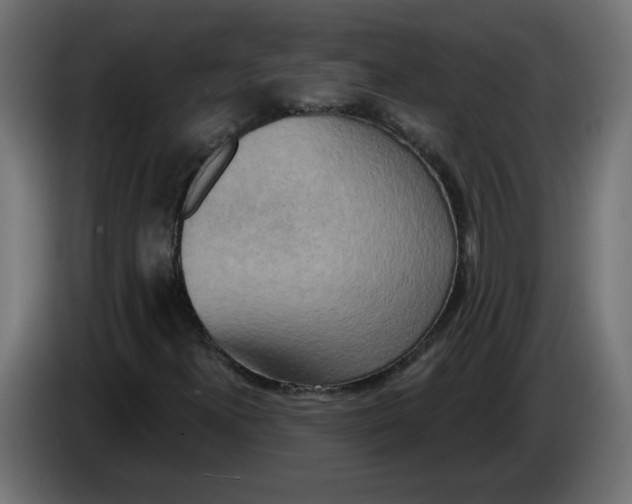 X0000083571300200703021736
