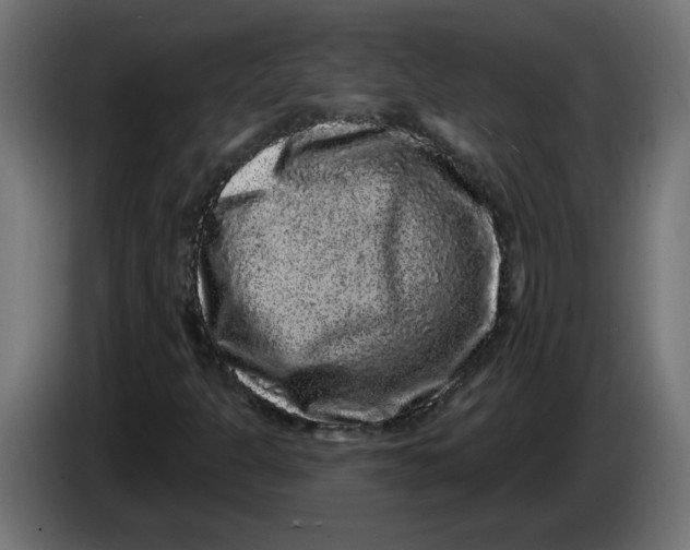 X0000083571301200703021736