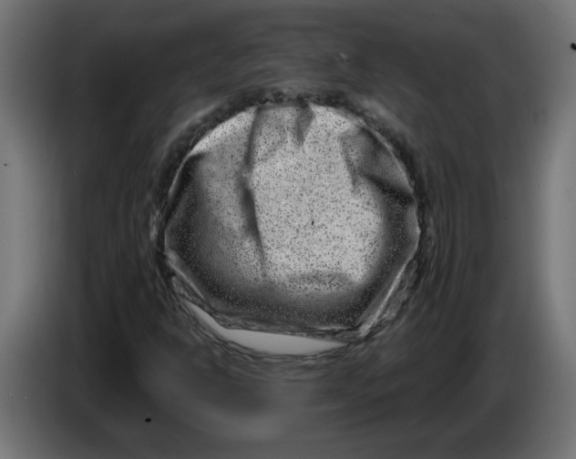 X0000083571302200703021736