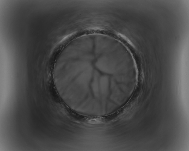 X0000083571303200703021736