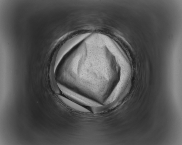 X0000083571304200703021736