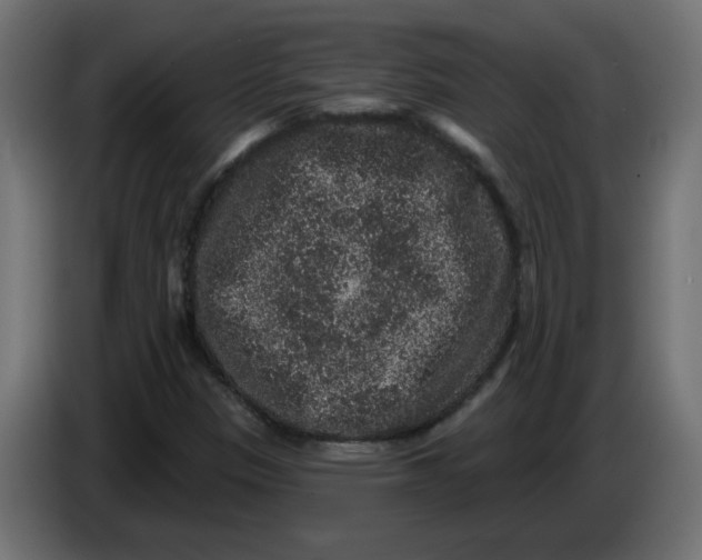X0000083571305200703021736