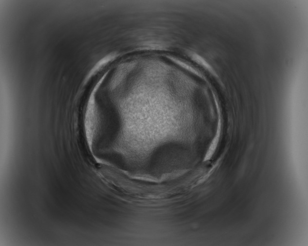 X0000083571307200703021736