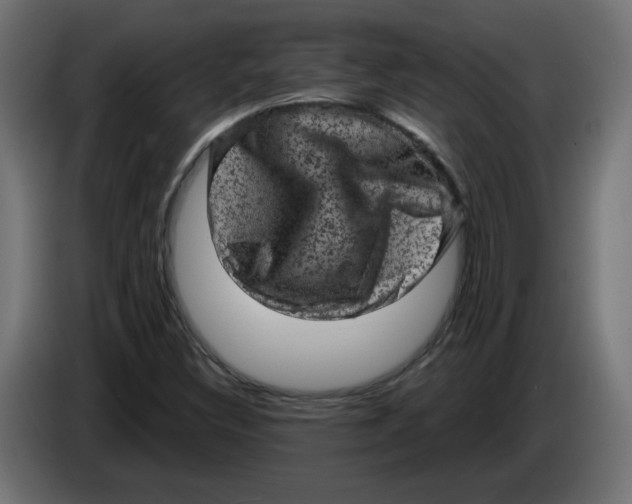 X0000083571308200703021736