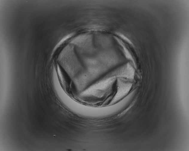 X0000083571309200703021736