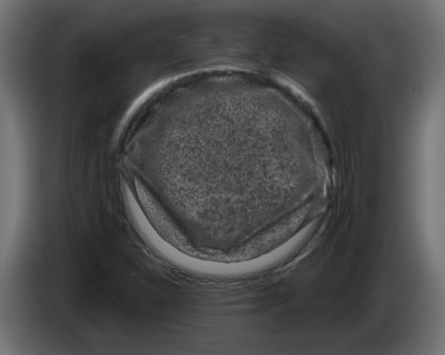 X0000083571310200703021736