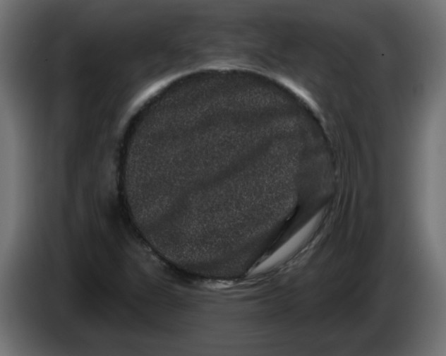 X0000083571311200703021736