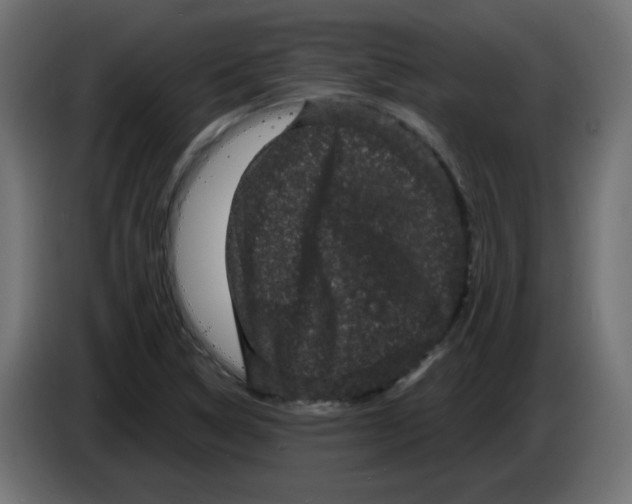 X0000083571314200703021736