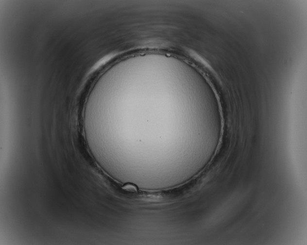 X0000083571315200703021736