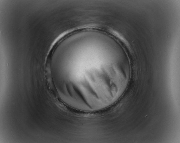 X0000083571316200703021736