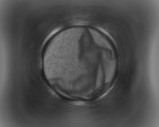 X0000083571317200703021736