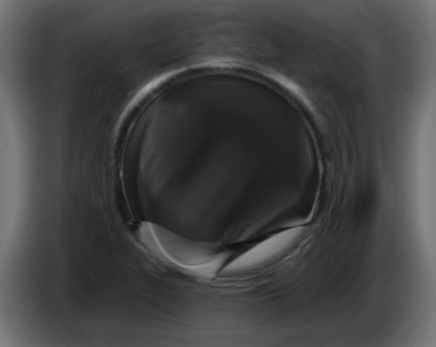 X0000083571319200703021736