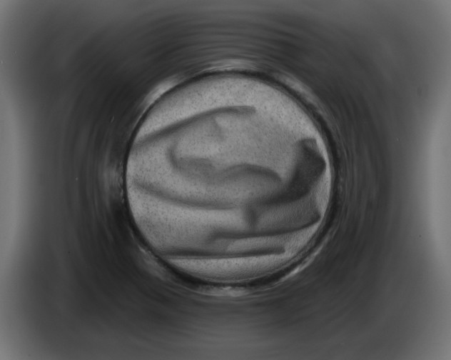 X0000083571321200703021736
