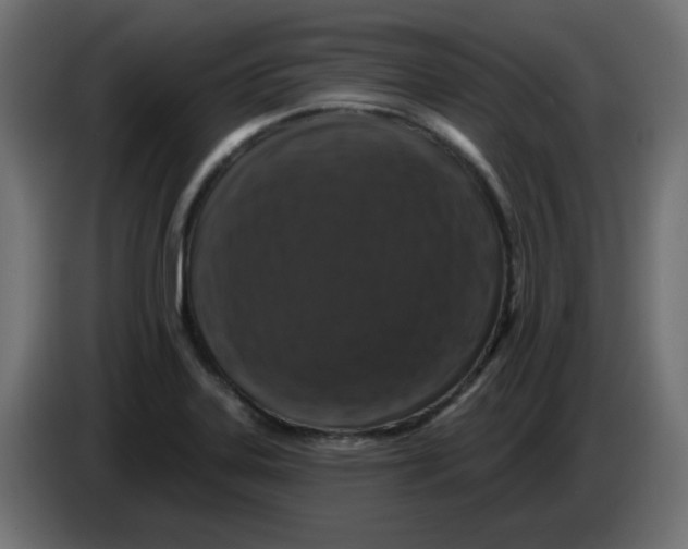 X0000083571323200703021736