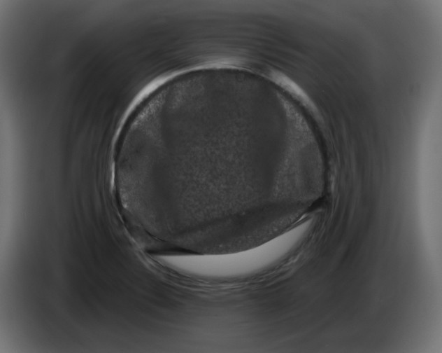X0000083571324200703021736