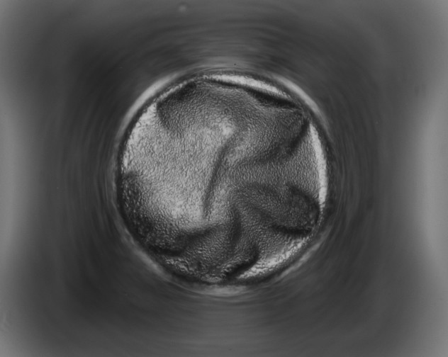 X0000083571325200703021736