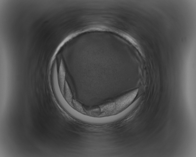 X0000083571326200703021736