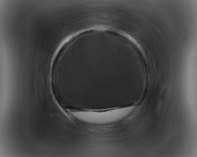 X0000083571327200703021736