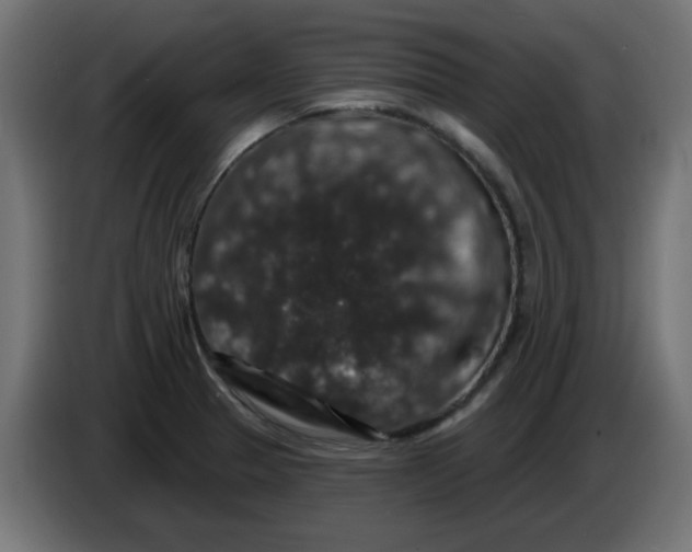 X0000083571329200703021736