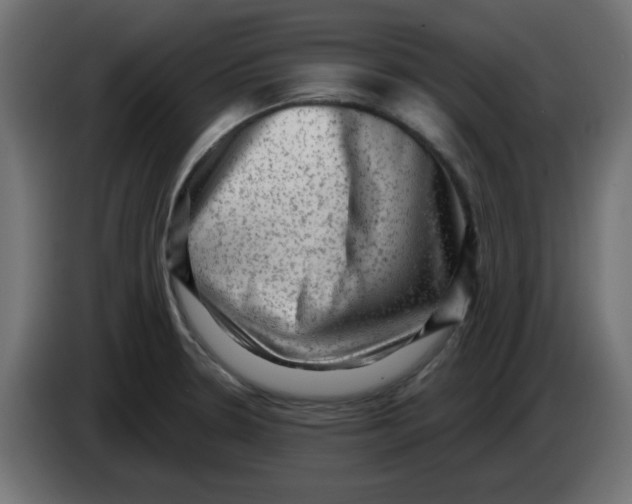 X0000083571330200703021736