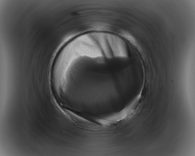 X0000083571331200703021736