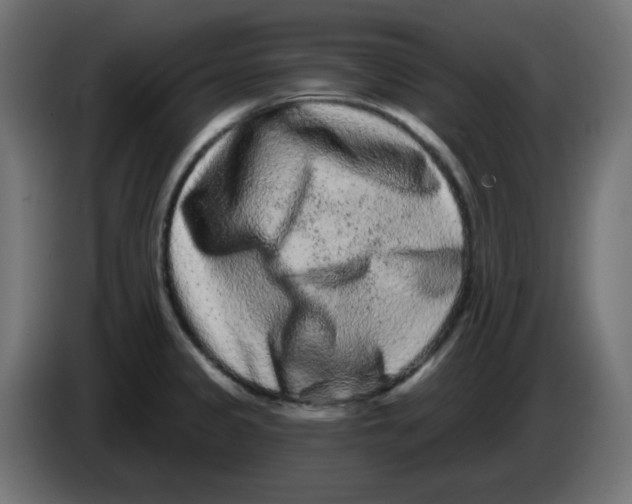 X0000083571333200703021736