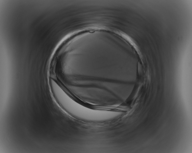 X0000083571334200703021736