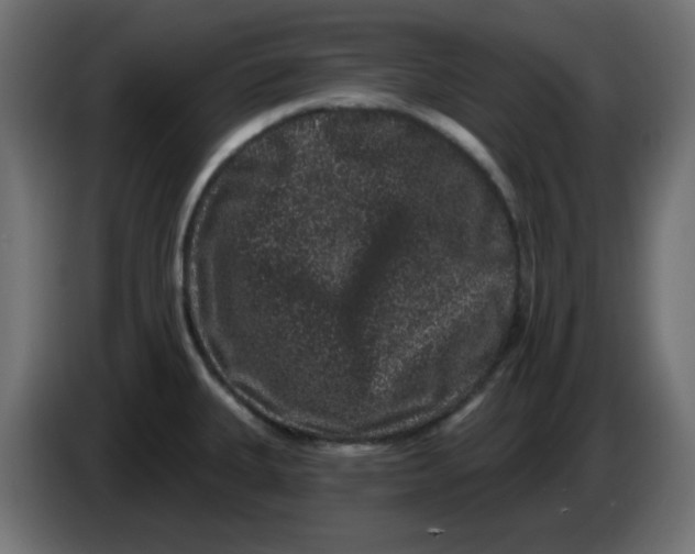 X0000083571335200703021736