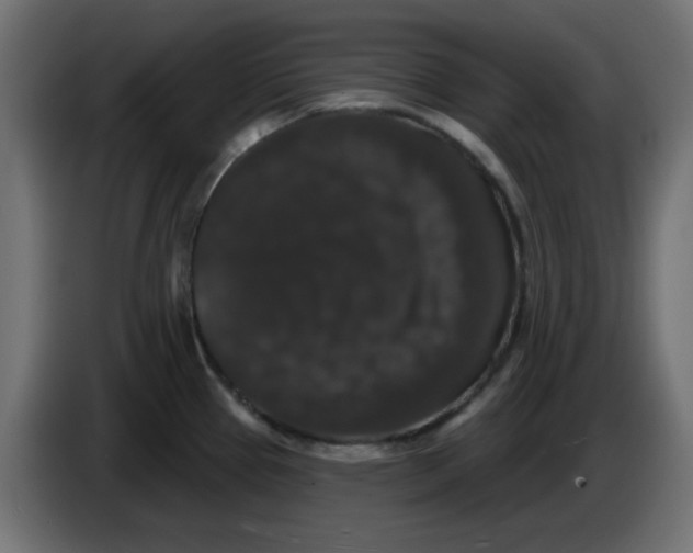 X0000083571337200703021736
