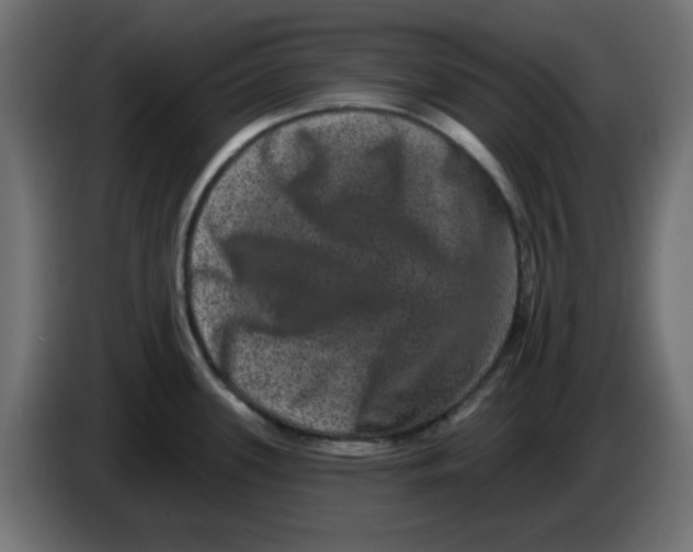 X0000083571339200703021736