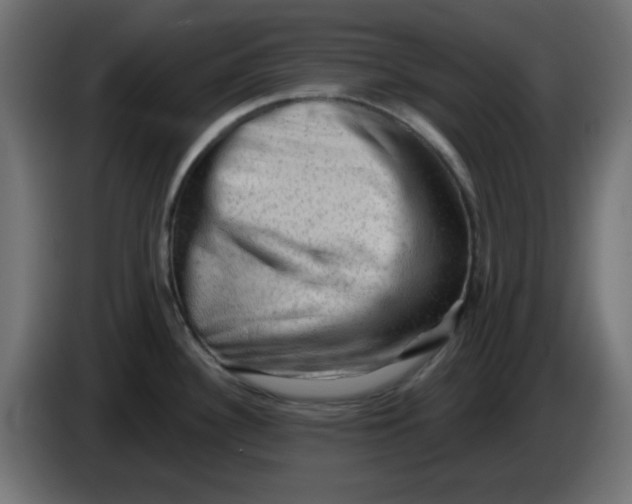 X0000083571340200703021736