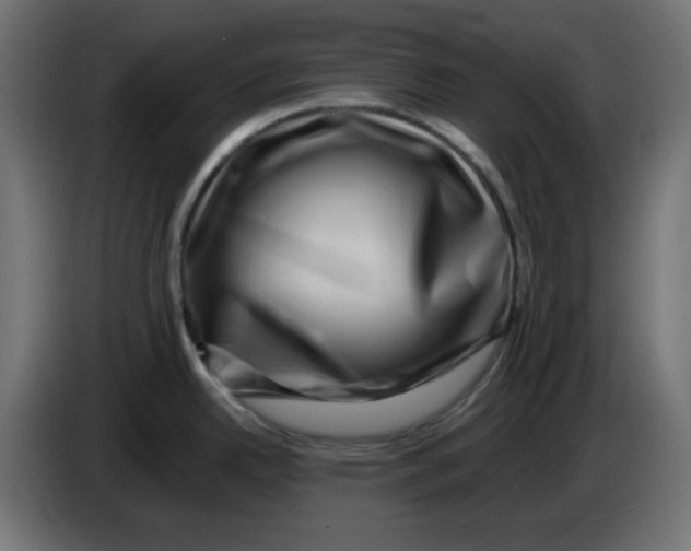 X0000083571342200703021736