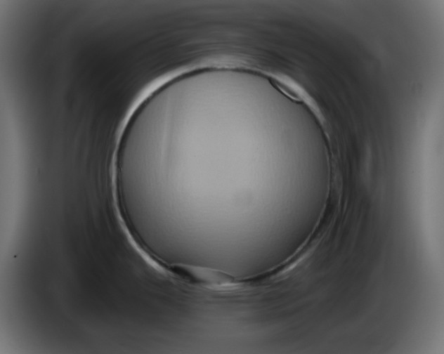 X0000083571343200703021736