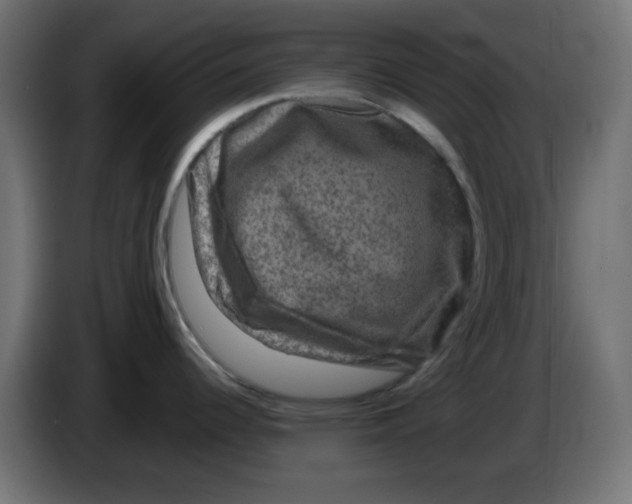 X0000083571344200703021736